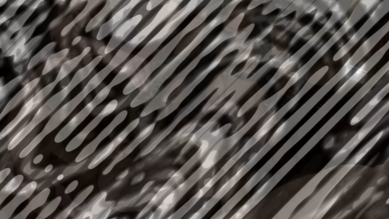 Photo of Amateur Bear Orgy: The Final Fuck
