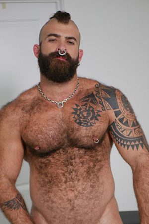 Photo of Macho Dog