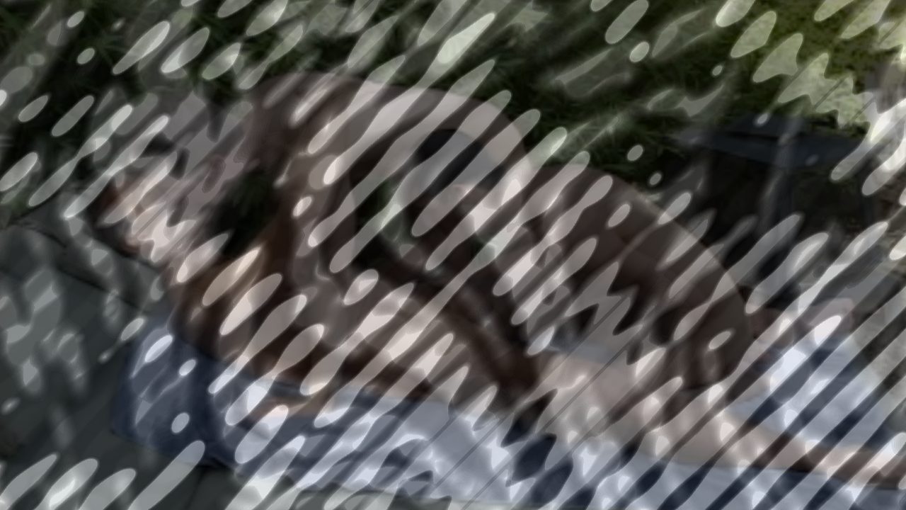 Photo of Daddy Hunt 1: Boy-B-Que