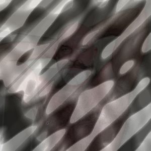 Photo of Mack Austin