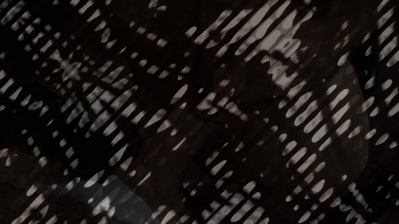 Photo of Amateur Bear Orgy: Cameraman's Cock