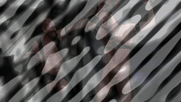 Image of Leather