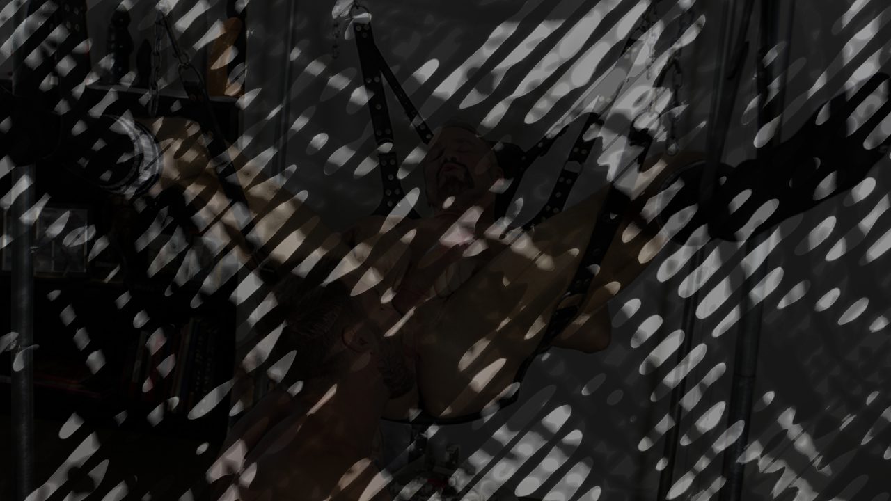 Photo of Dallas Steele and Hans Berlin Flip
