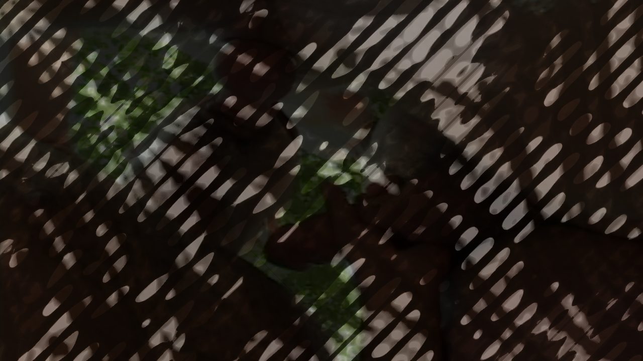 Photo of Daddy Dreaming: Deck Hands