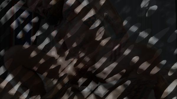 Image of Bareback